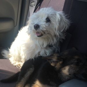 Meet your Posher, Faith